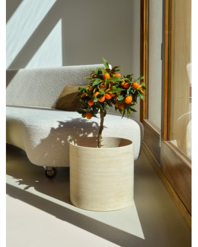 Beige Travertine Planter | Height 32cm
